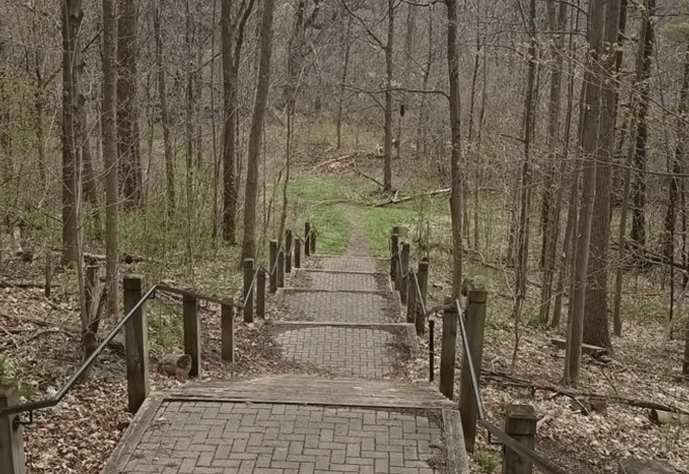 The Uncomfortable Truth About Toronto Real Estate That Everyone Knows but No One&nbsp;Admits